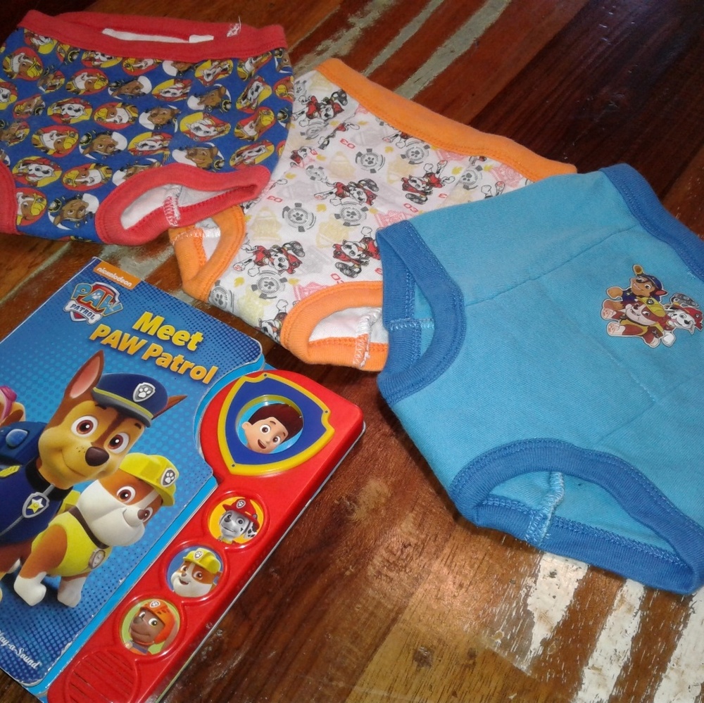 Paw Patrol Training Underwear